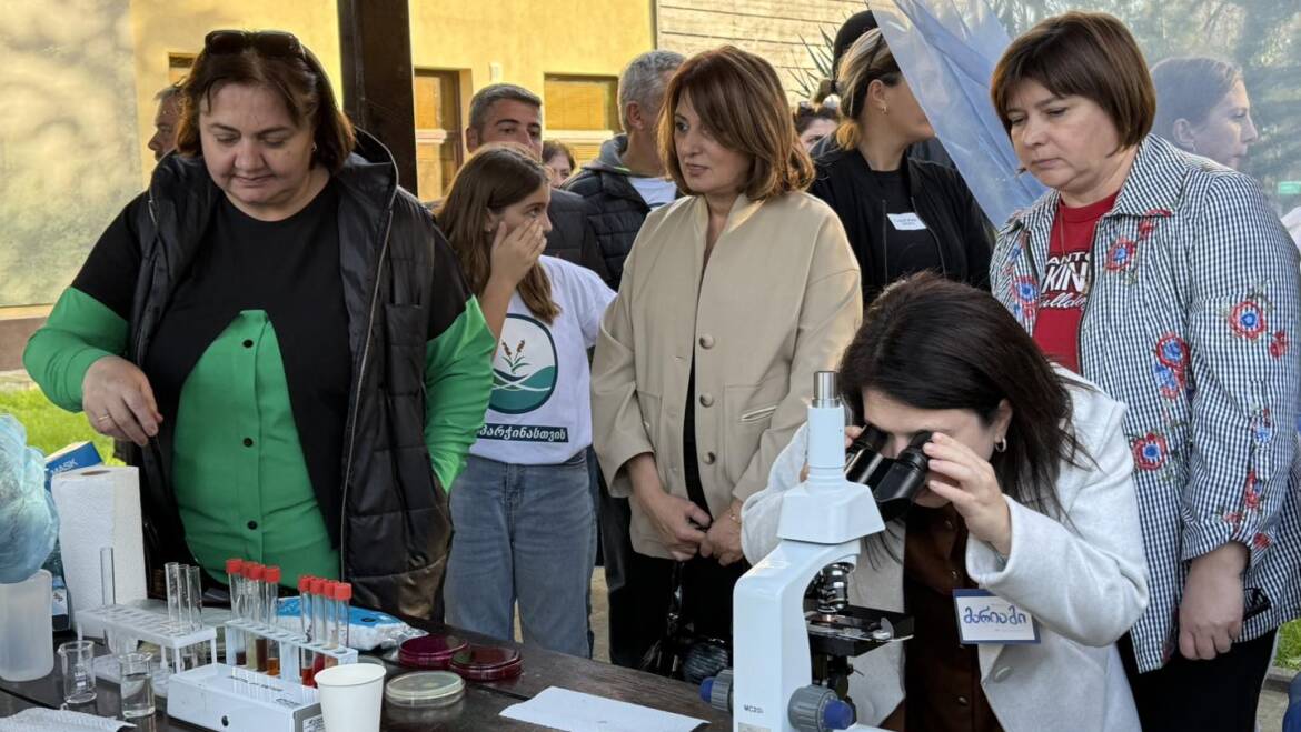 სამოქალაქო პიკნიკი – კაპარჭინასთვის.